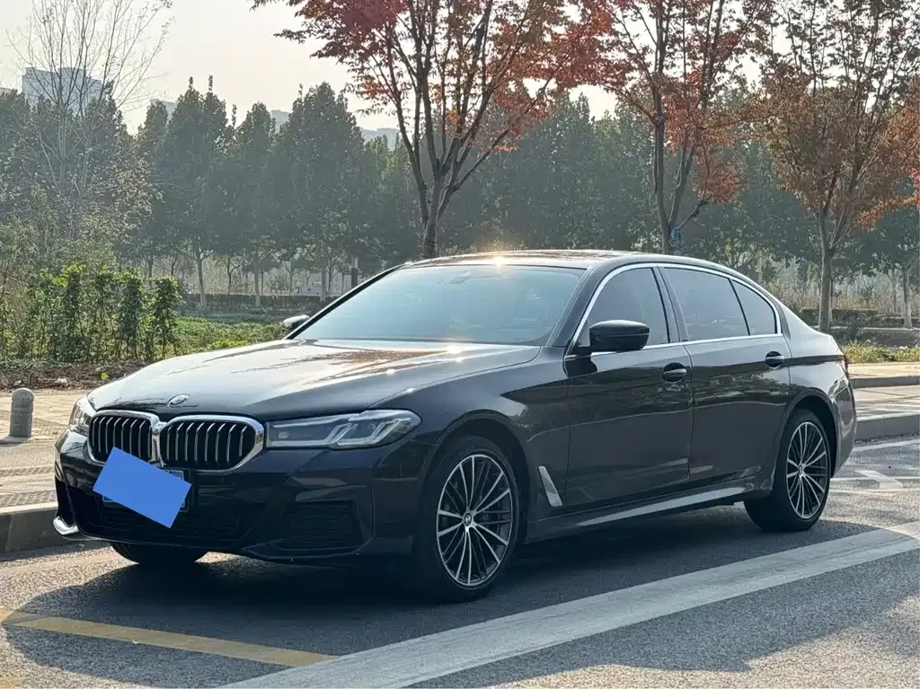 BMW 5 Series 2023 из CN, фото 1
