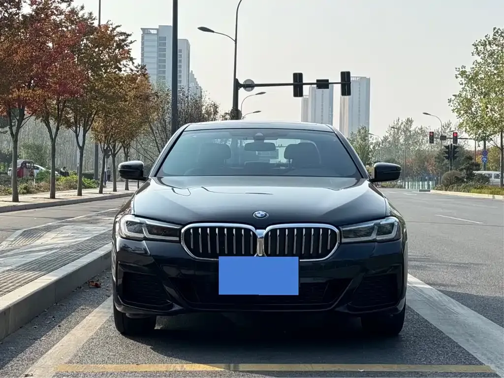 BMW 5 Series 2023 из CN, фото 2