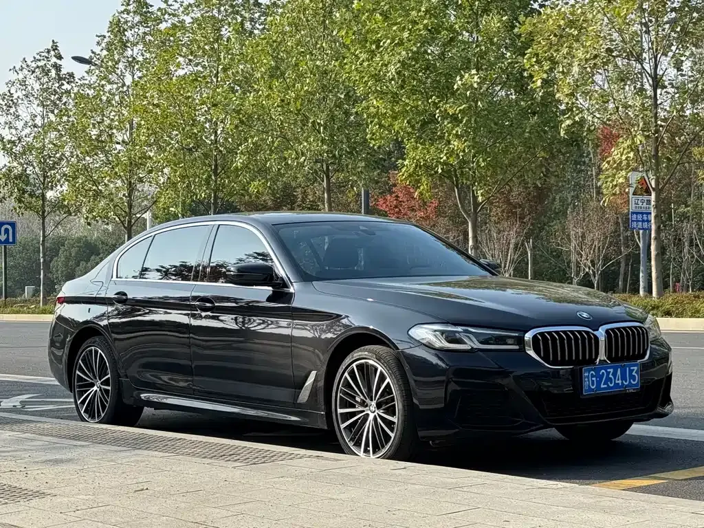 BMW 5 Series 2023 из CN, фото 3