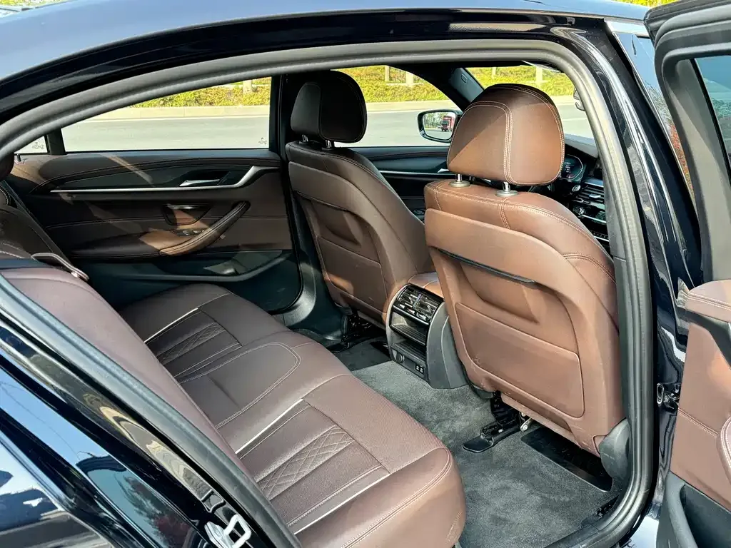 BMW 5 Series 2023 из CN, фото 6