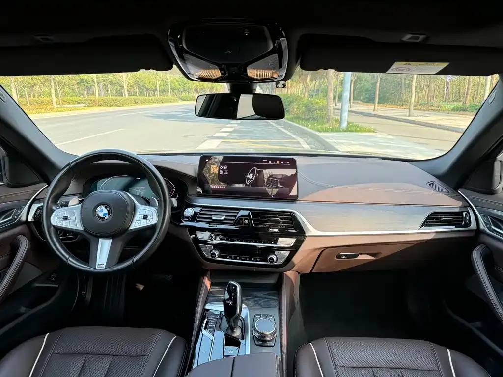 BMW 5 Series 2023 из CN, фото 7