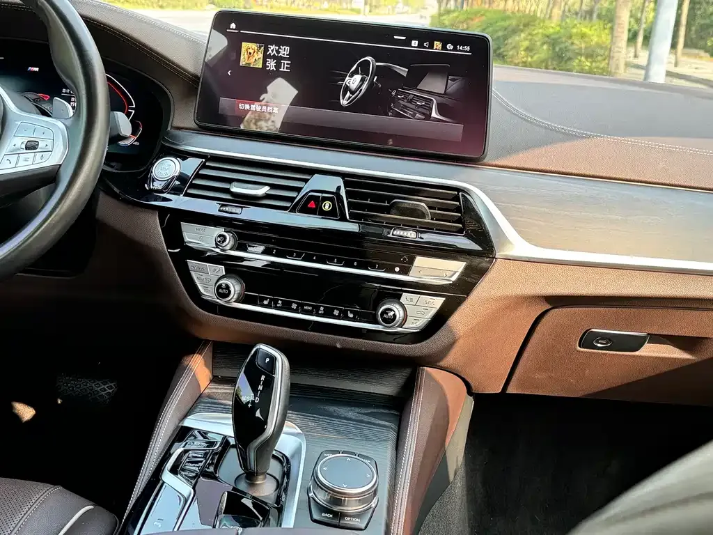 BMW 5 Series 2023 из CN, фото 8