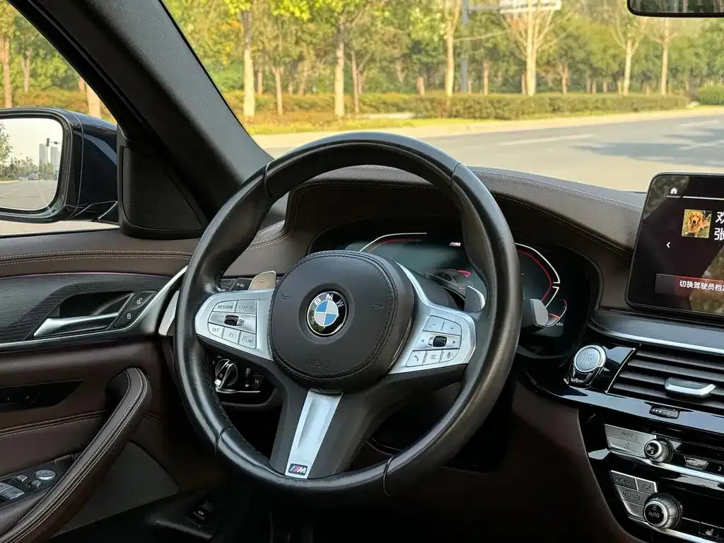 BMW 5 Series 2023 из CN, фото 9