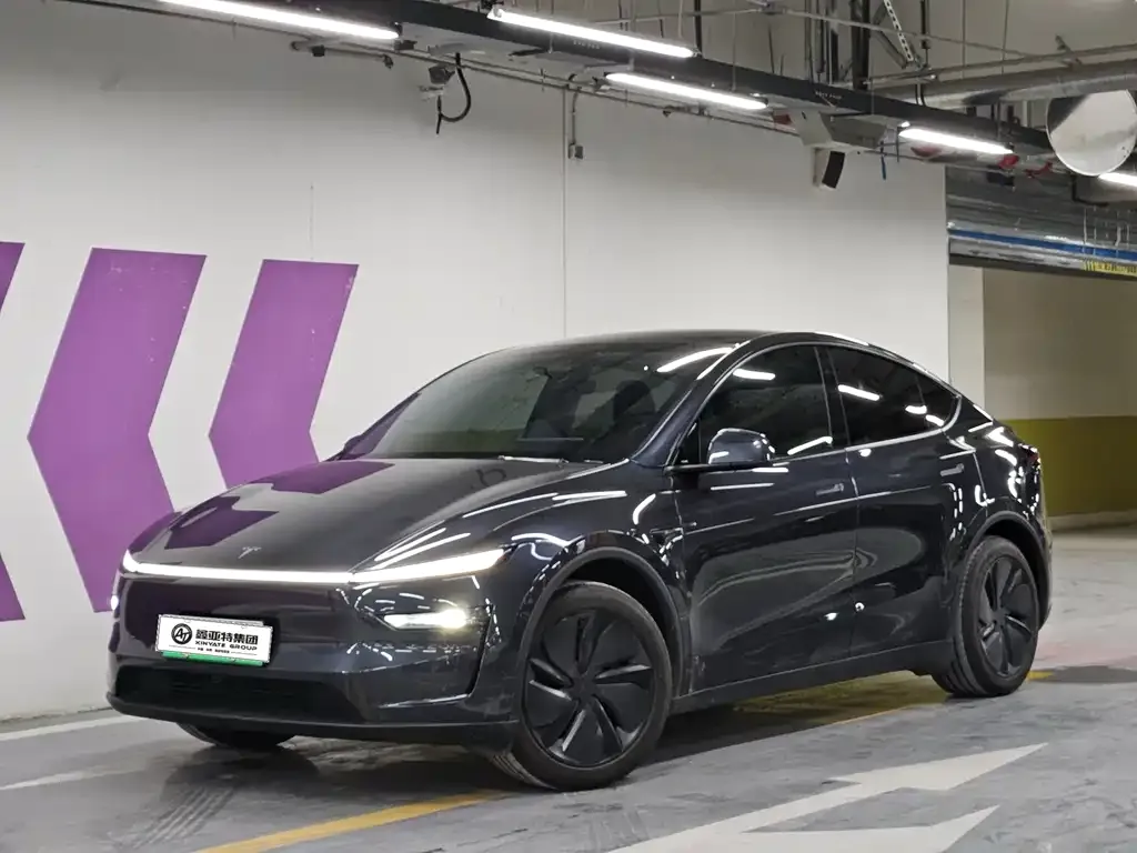 Tesla Model Y 2025 из CN, фото 1