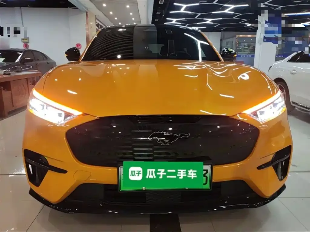 Ford Mustang Mach-E 2024 из CN, фото 3