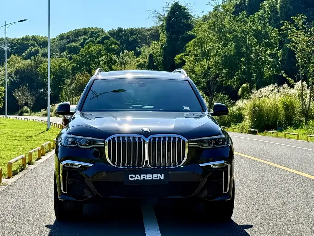BMW X7 — фото 2