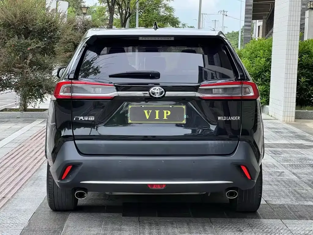 Toyota Wildlander 2021 из CN, фото 3