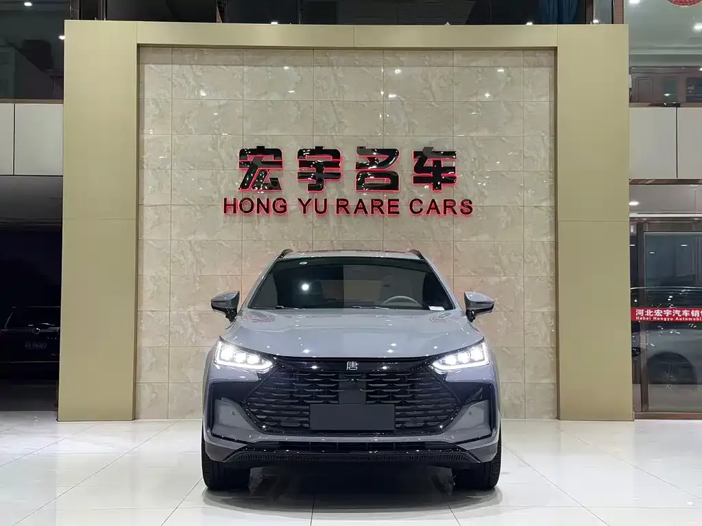 BYD Tang New Energy — фото 2