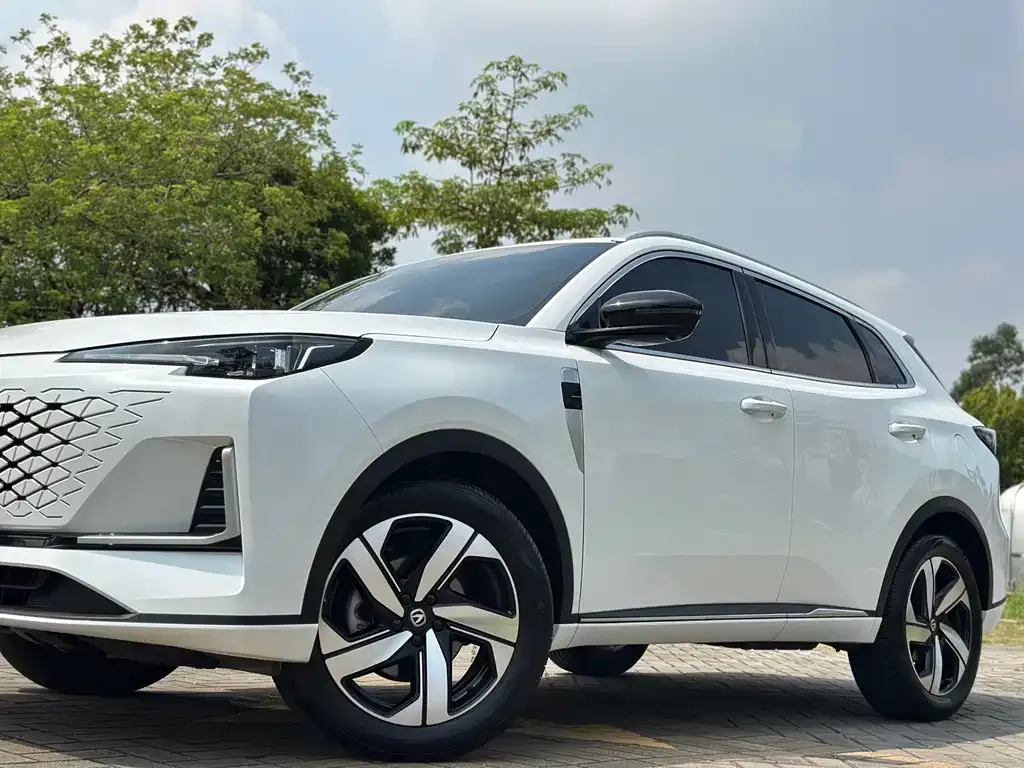 Changan CS55PLUS 2024 из CN, фото 6