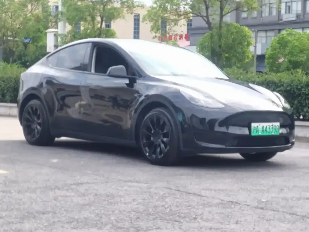 Tesla Model Y 2022 из CN, фото 3
