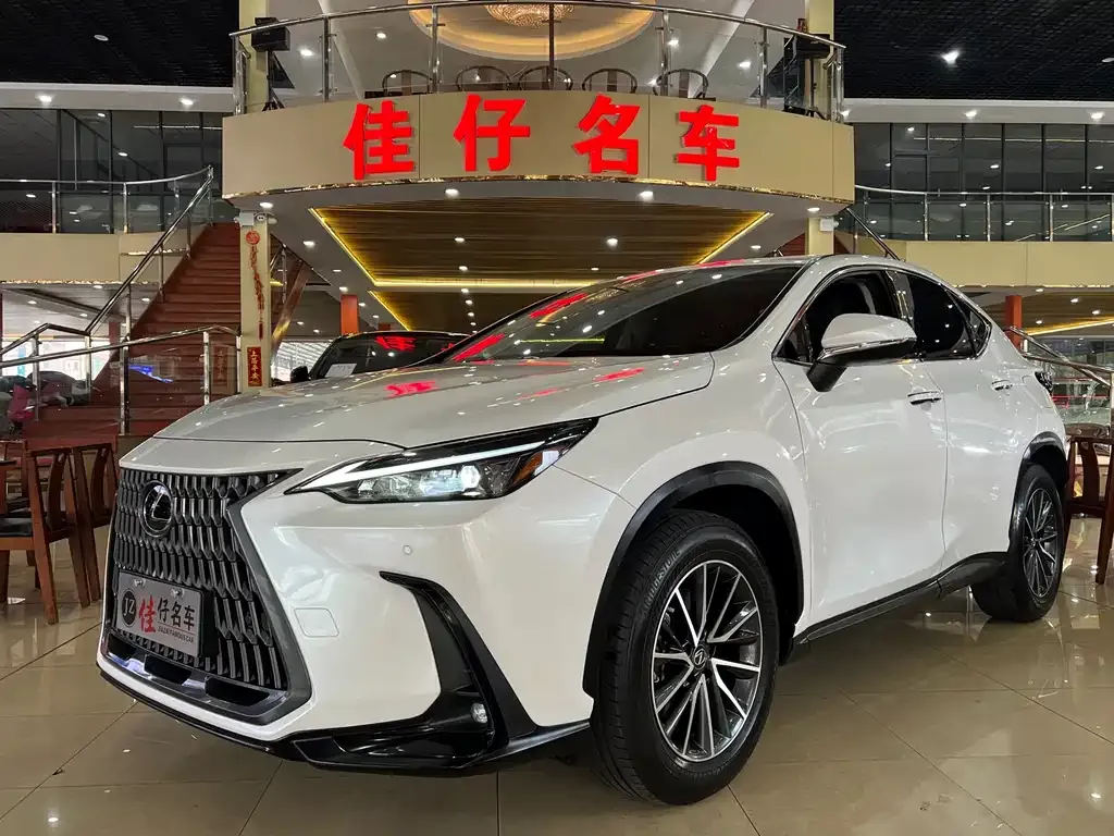 Lexus NX 2022 из CN, фото 1