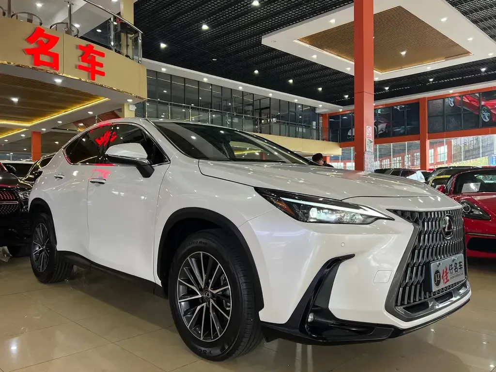 Lexus NX 2022 из CN, фото 3