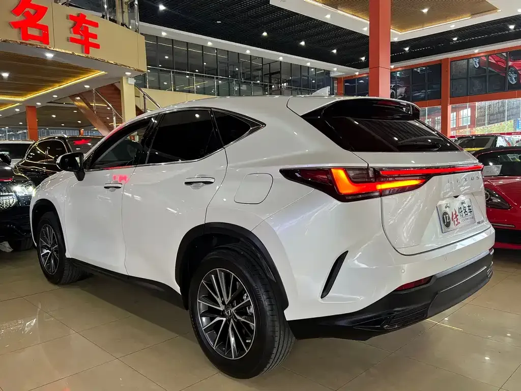 Lexus NX 2022 из CN, фото 4