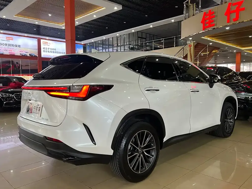 Lexus NX 2022 из CN, фото 6