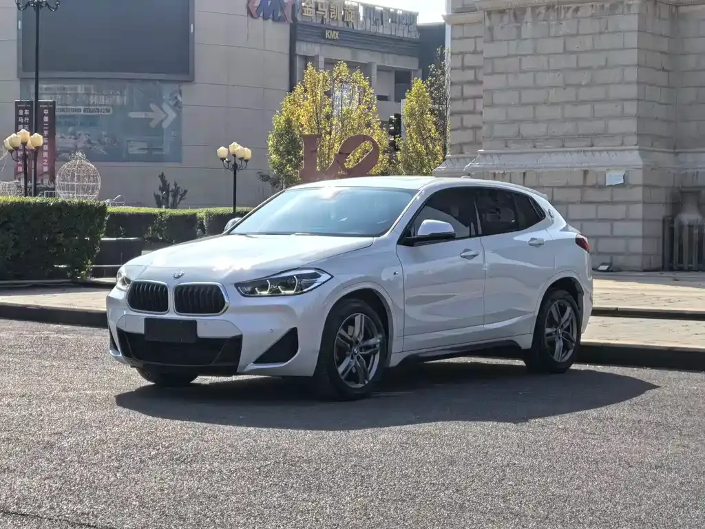BMW X2 2021 из CN, фото 1