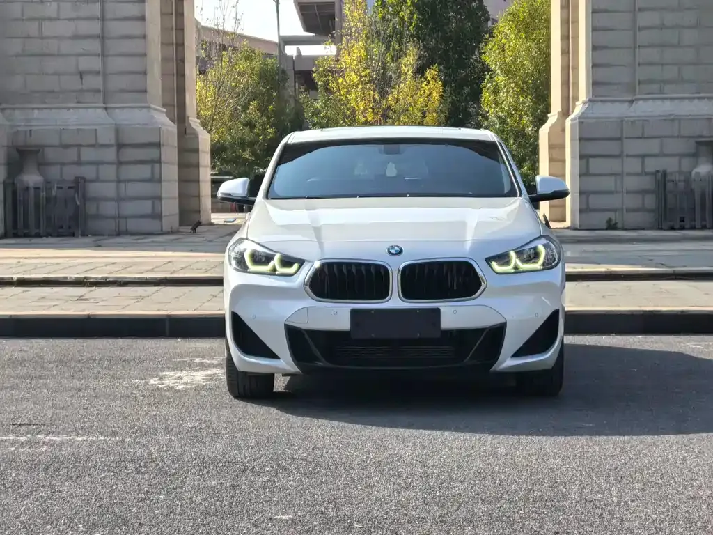 BMW X2 2021 из CN, фото 2