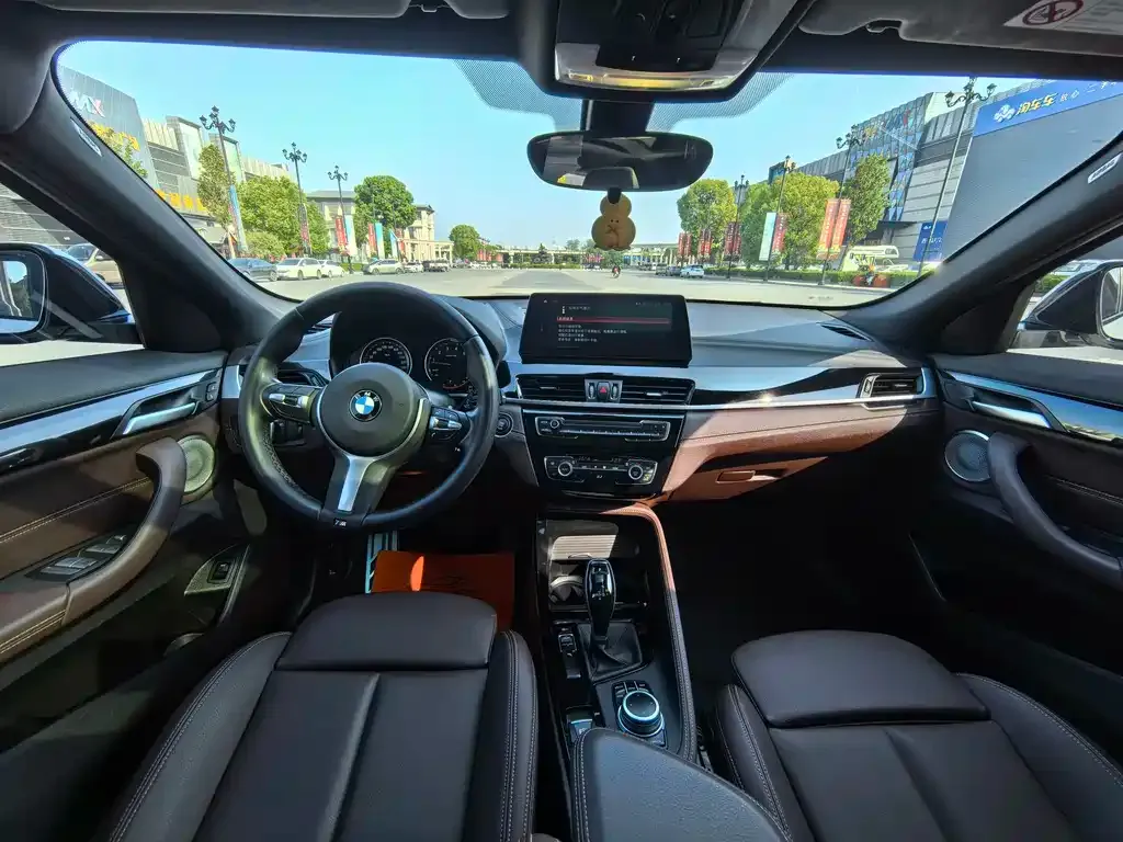 BMW X2 2021 из CN, фото 4