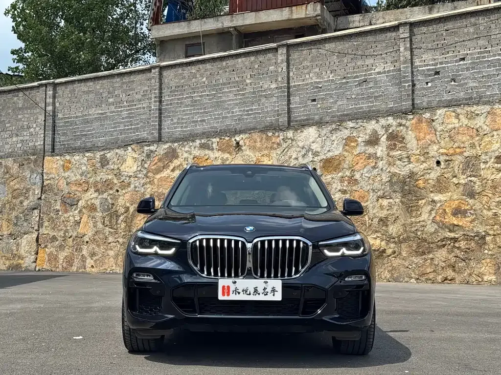 [object Object] X5 (Import) 2021 из CN, фото 2