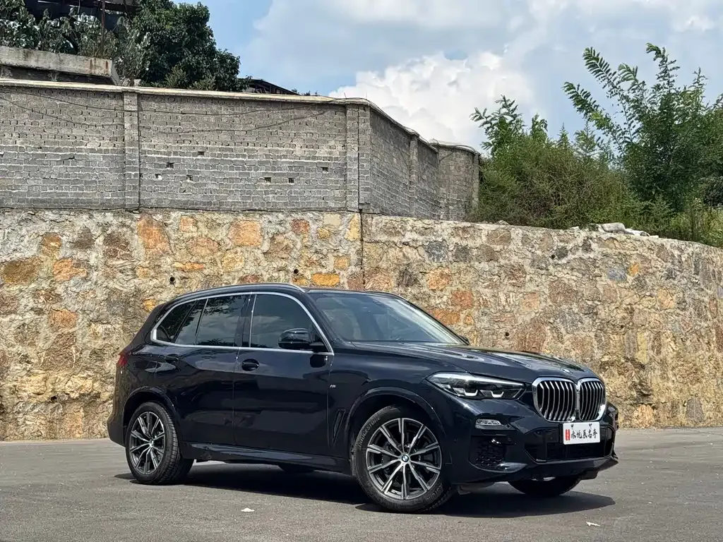 [object Object] X5 (Import) 2021 из CN, фото 3