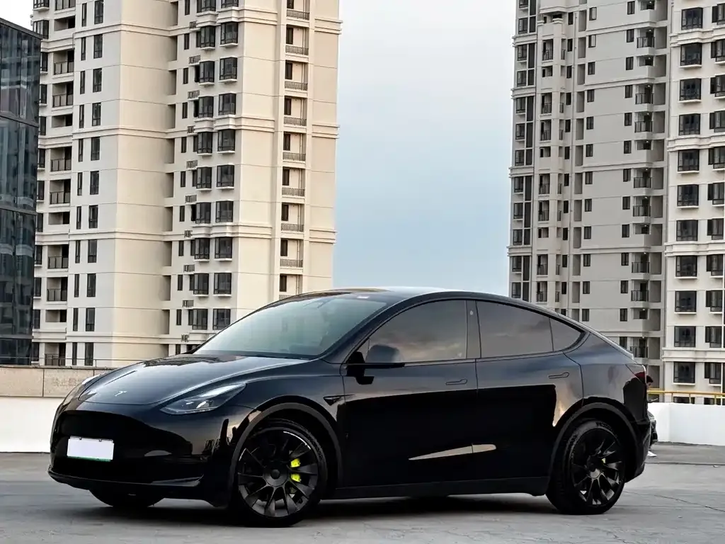 Tesla Model Y 2021 из CN, фото 1