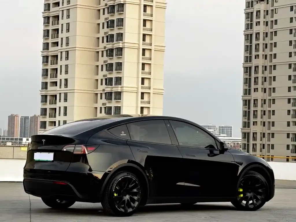 Tesla Model Y 2021 из CN, фото 10