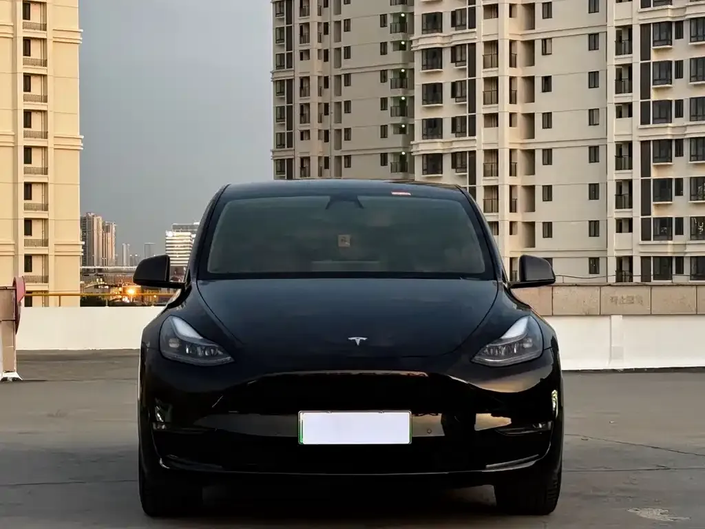 Tesla Model Y 2021 из CN, фото 2