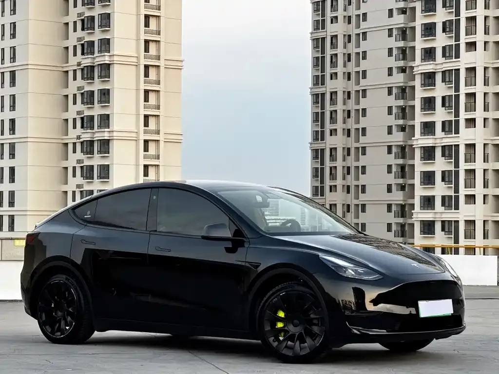 Tesla Model Y 2021 из CN, фото 3
