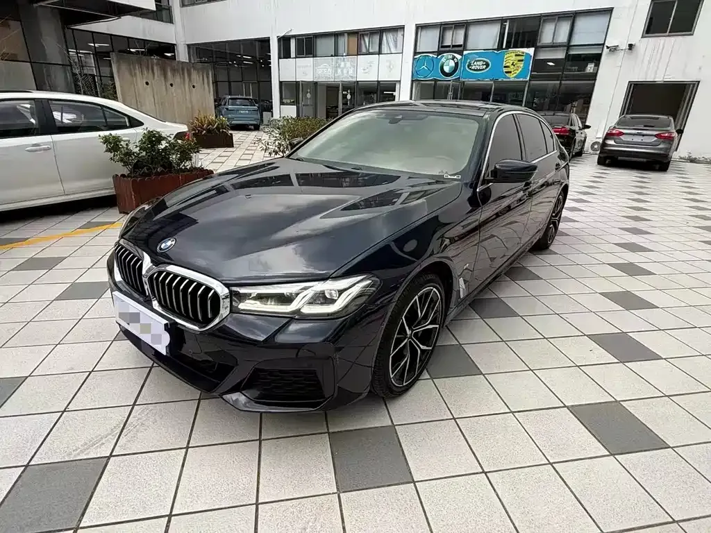 BMW 5 Series 2021 из CN, фото 1