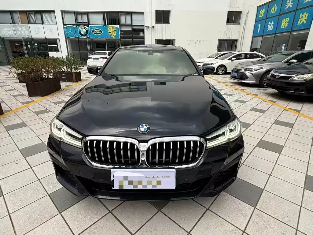 BMW 5 Series 2021 из CN, фото 2