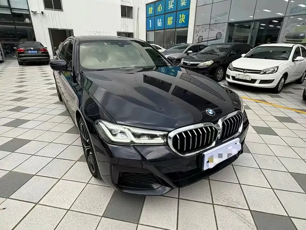 BMW 5 Series 2021 из CN, фото 3