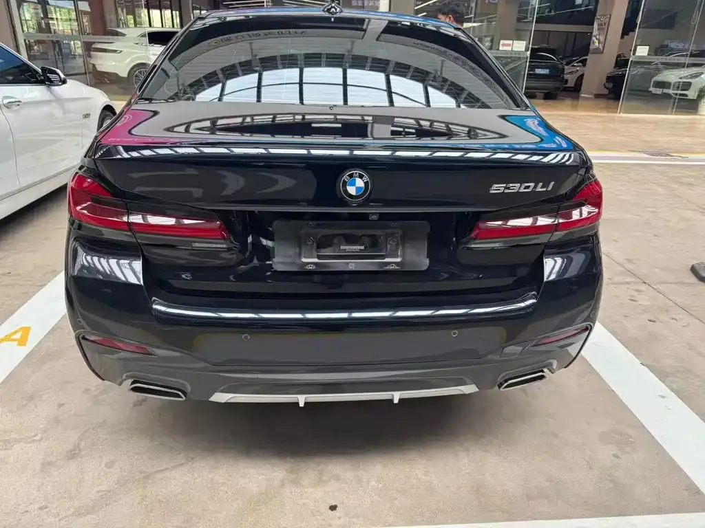 BMW 5 Series 2021 из CN, фото 4