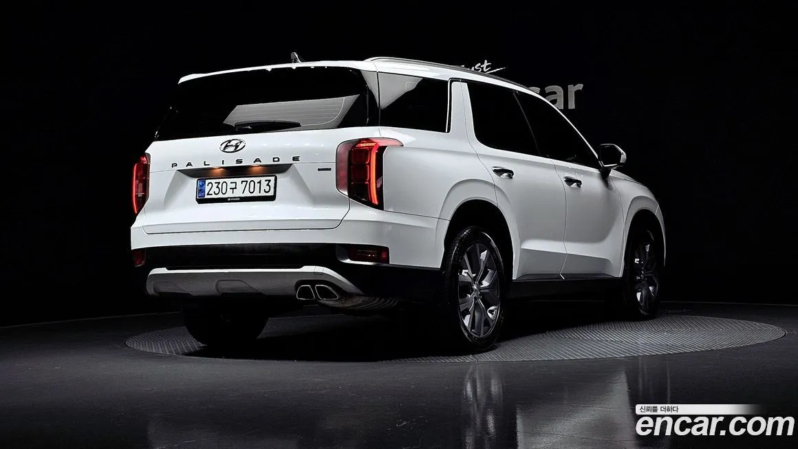 [object Object] Palisade 2021 из KR, фото 2