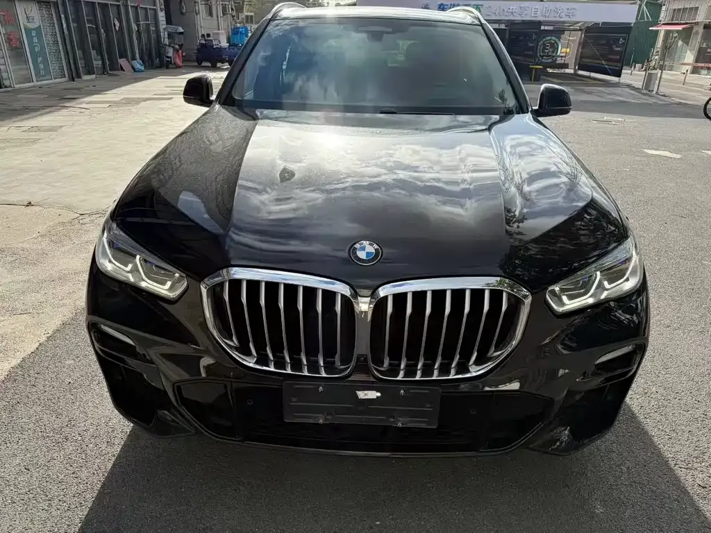 [object Object] X5 (Import) 2021 из CN, фото 2