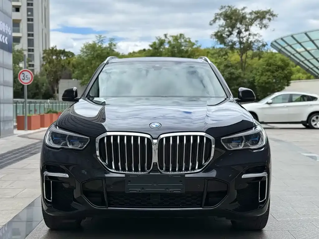 BMW X5 2022 из CN, фото 2