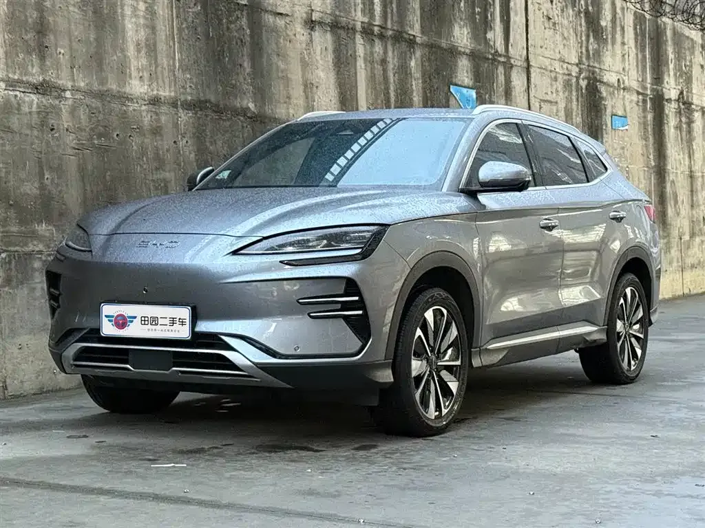 BYD PLUS New Energy 2024 из CN, фото 1