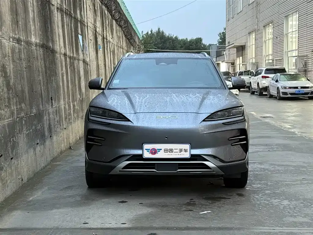 BYD PLUS New Energy 2024 из CN, фото 2