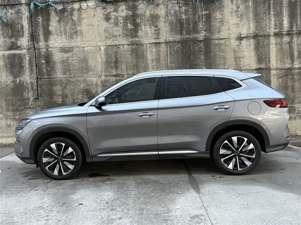 BYD PLUS New Energy 2024 из CN, фото 3