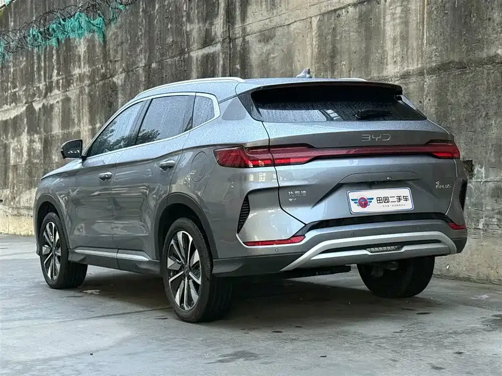 BYD PLUS New Energy 2024 из CN, фото 4
