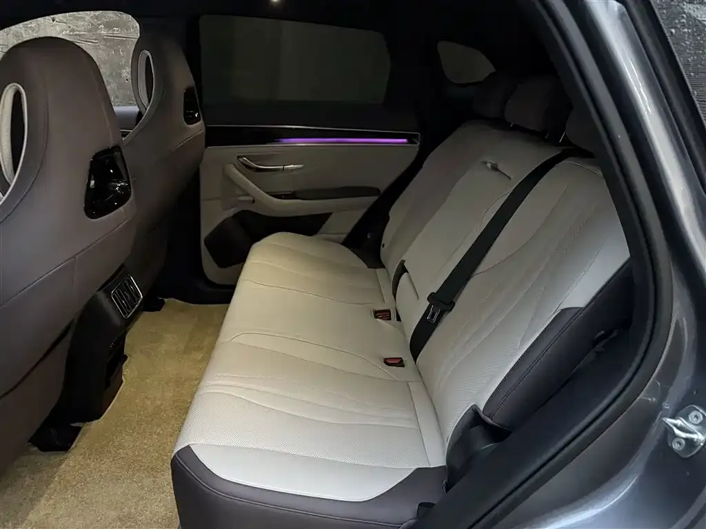 BYD PLUS New Energy 2024 из CN, фото 8