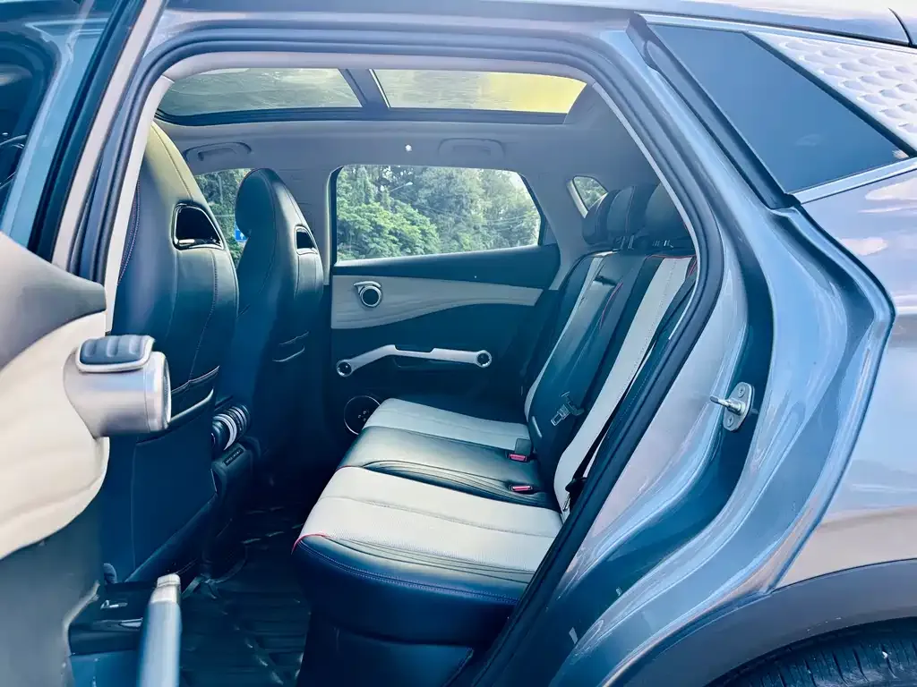 [object Object] Yuan Plus 2023 из CN, фото 7