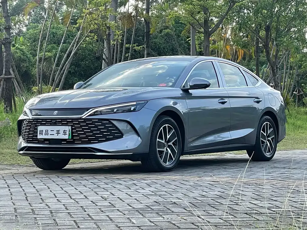 BYD Qin L 2025 из CN, фото 1
