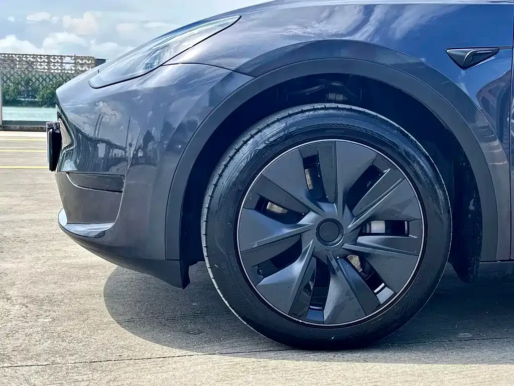Tesla Model Y 2024 из CN, фото 6