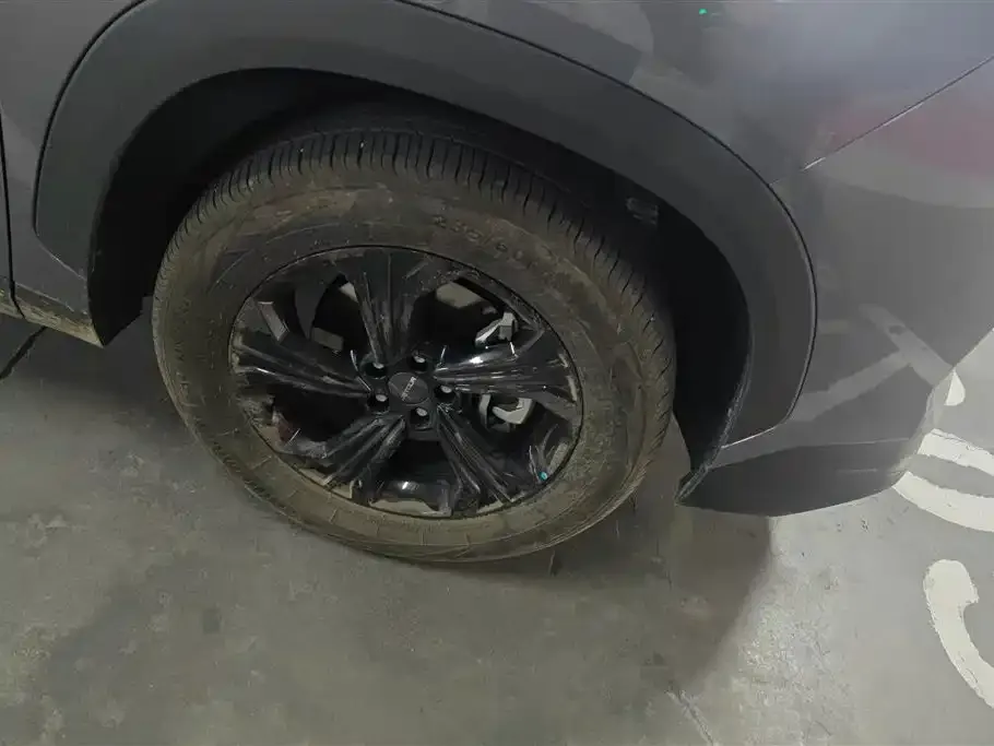 Jetour Dasheng 2025 из CN, фото 6