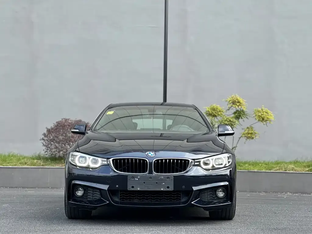 BMW 4 Series 2021 из CN, фото 2