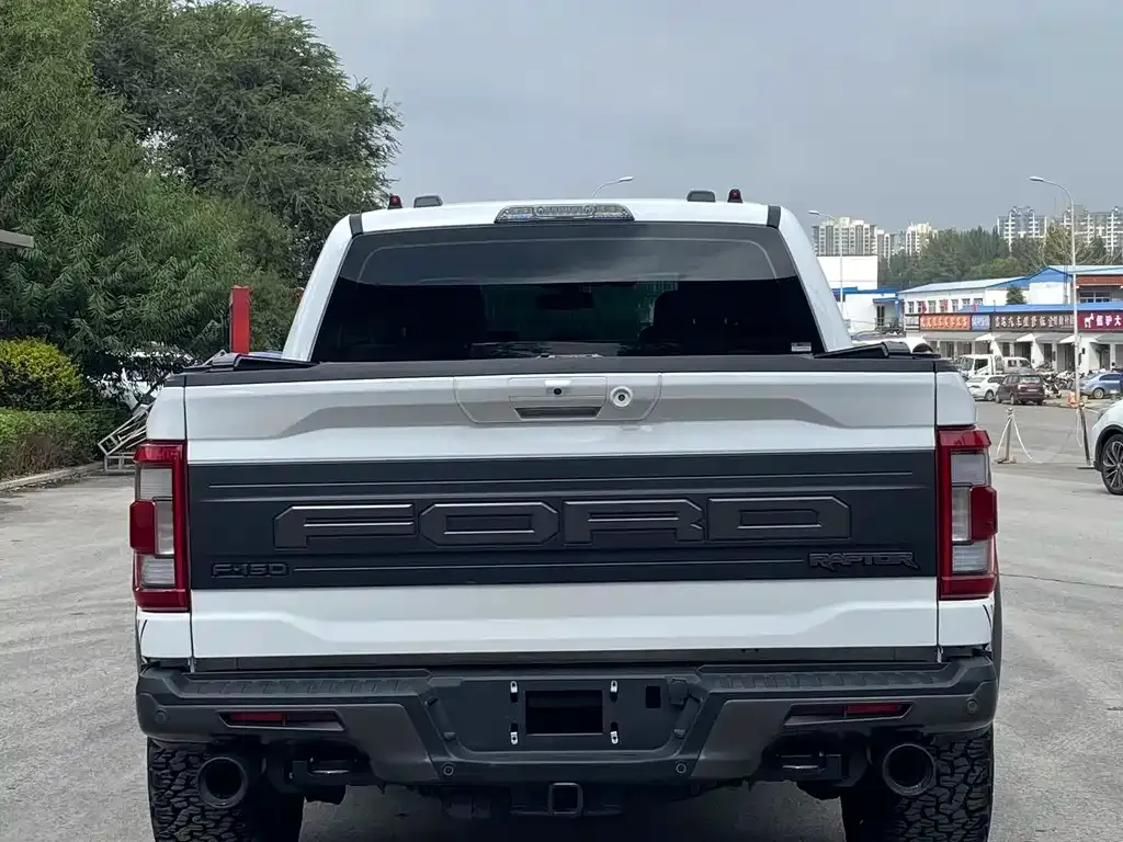 Ford F-150 Raptor 2023 из CN, фото 5