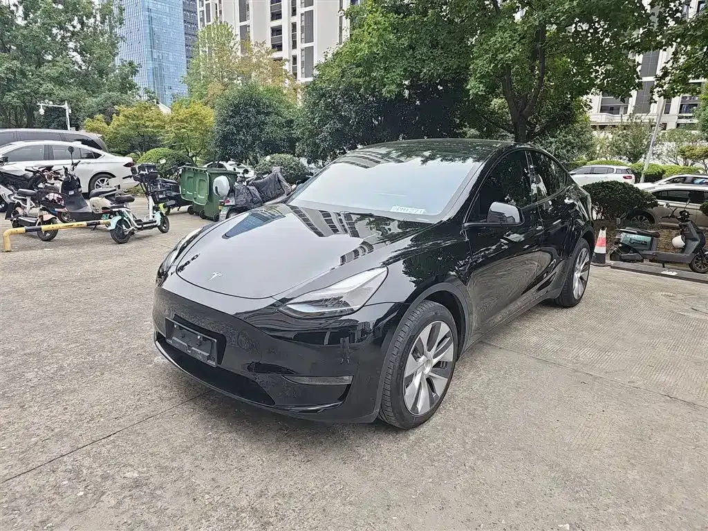 [object Object] Model Y 2023 из CN, фото 2