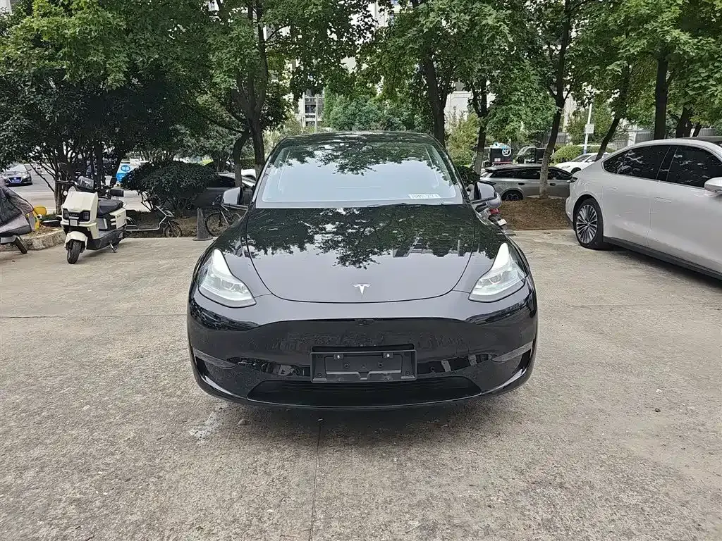 [object Object] Model Y 2023 из CN, фото 3