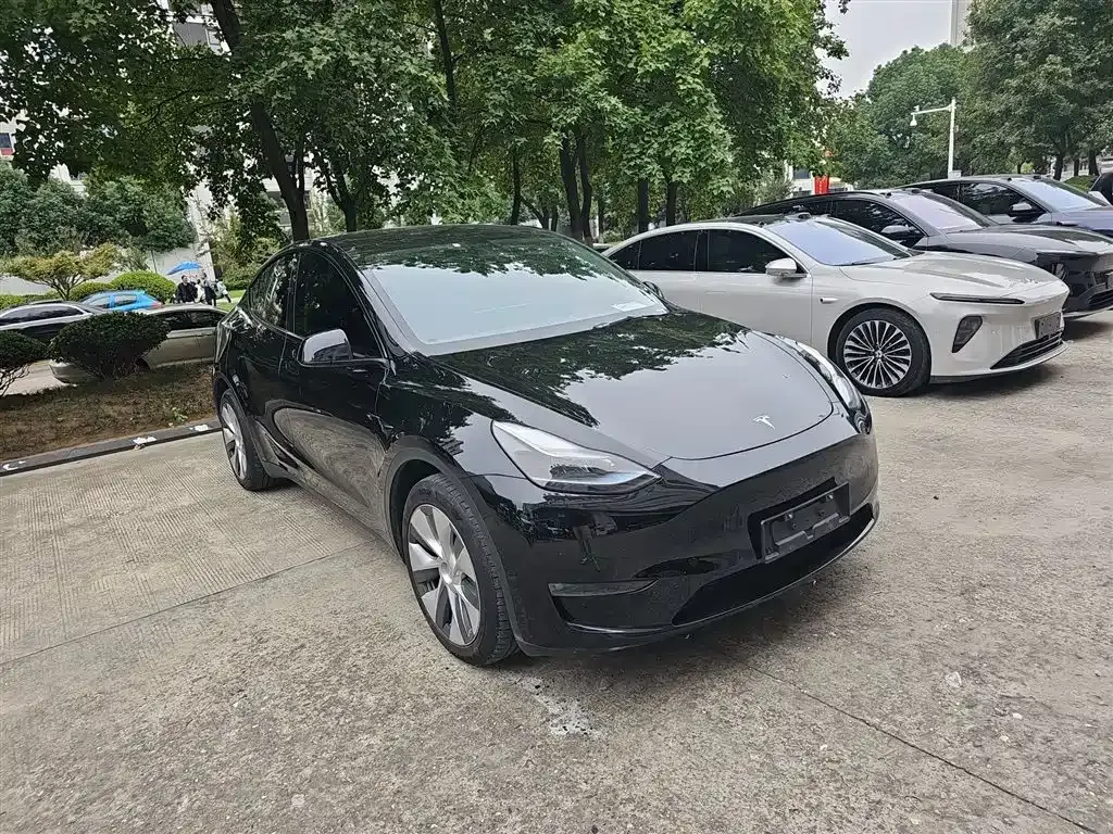 [object Object] Model Y 2023 из CN, фото 4