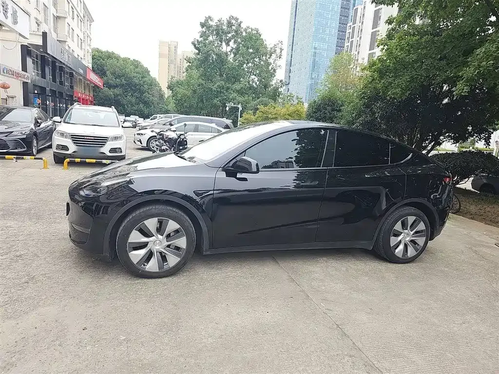 [object Object] Model Y 2023 из CN, фото 5