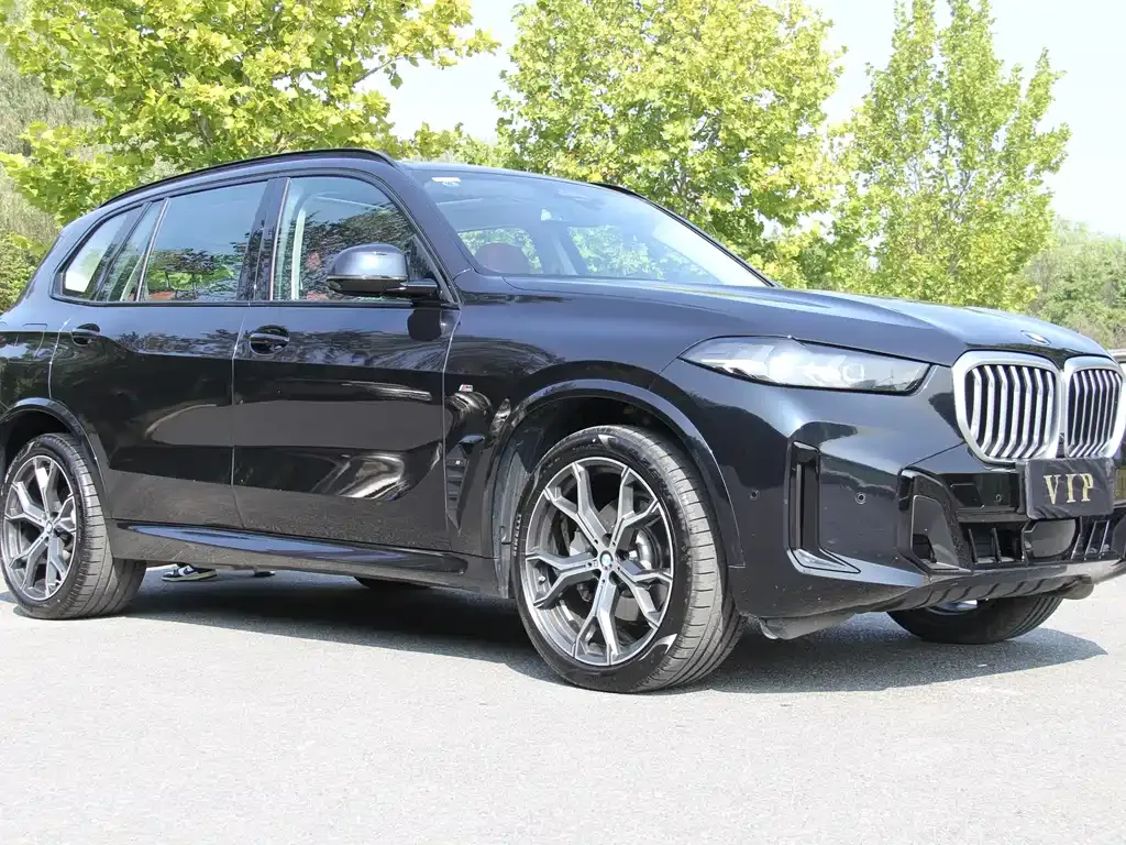 BMW X5 — фото 2